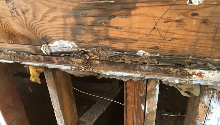 Copy of Robertson FB post extensive dryrot from water intrusion at house at elevated driveway structure scaled 700x400
